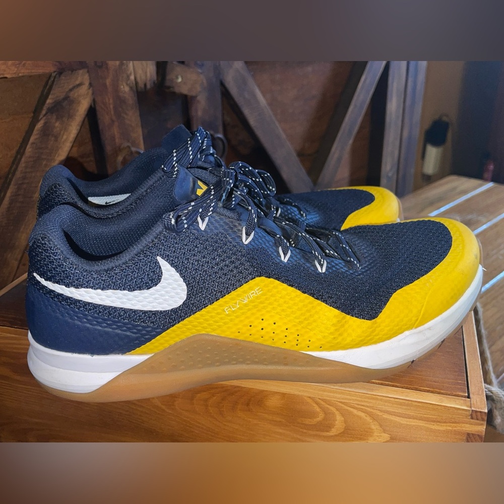 Men’s Nike Michigan Wolverine Athletic Shoes in School Colors
